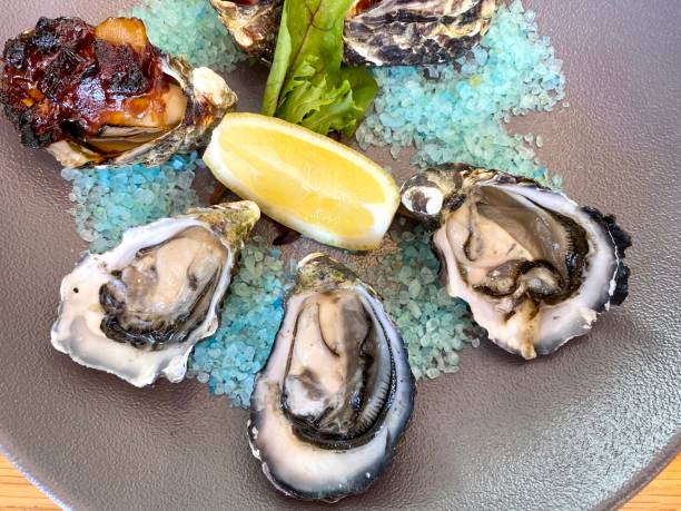 istock Australian Natural Oysters and Oysters Kilpatrick 1204736070