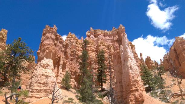istock Hoodos formation at Bryce Canyon National Park 1204736394