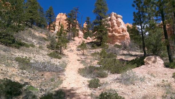 istock Bryce Canyon Hiking trail 1204736410