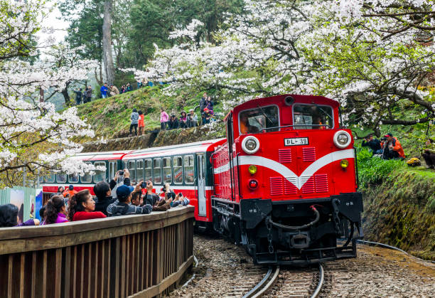 Chiayi, Taiwan - March 15, 2012: Alishan Forest Train At Alishan National Scenic Area. The Railway Originally Constructed For Logging, Has Become A Tourist Attraction With Its Unique Z-Shaped.