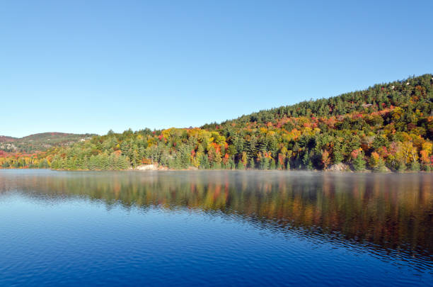 istock Sunrise above forest lake 1204742560