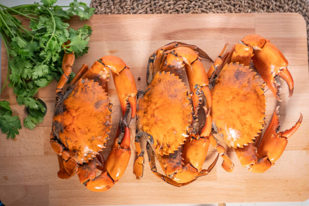 istock Sea crab on wood dish 1204742678