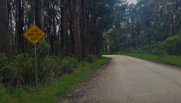 istock Road Sign of Less Speed Less Dust 1204742712
