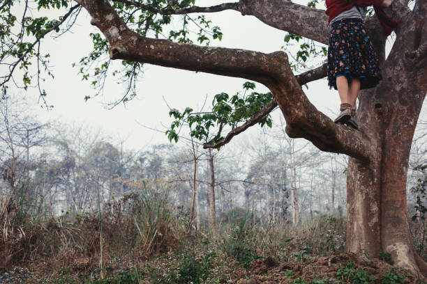 istock Female legs climbing tree in misty fog forest 1204744626