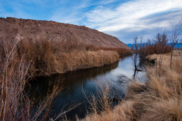istock river flowing through valley winter landscape and trees 1204750808