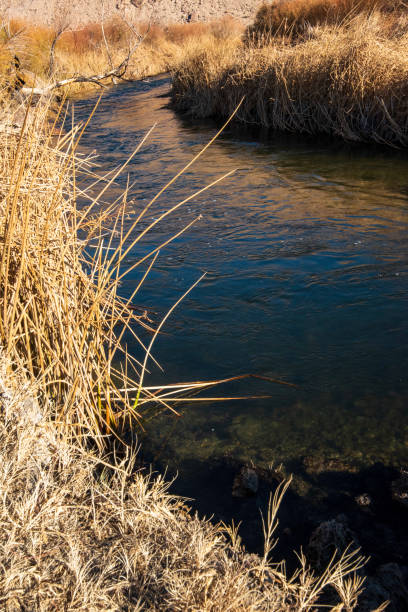 istock river flowing through valley winter landscape and trees 1204750845