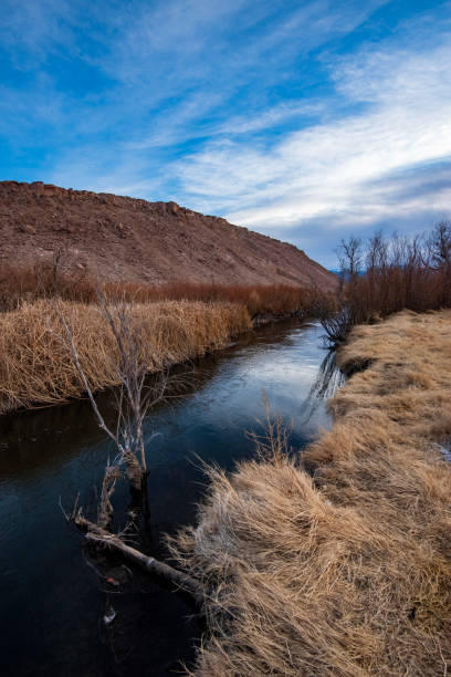 istock river flowing through valley winter landscape and trees 1204750856