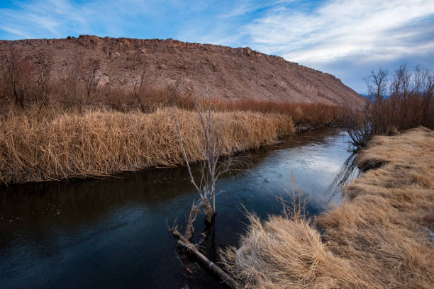 istock river flowing through valley winter landscape and trees 1204750862