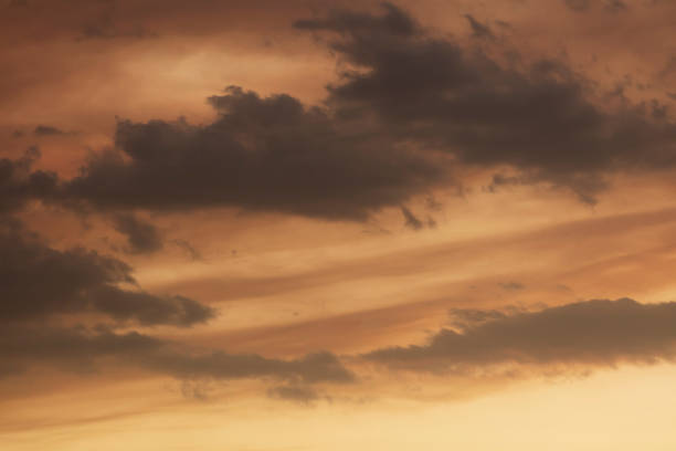 During the severe bushfire season in Australia