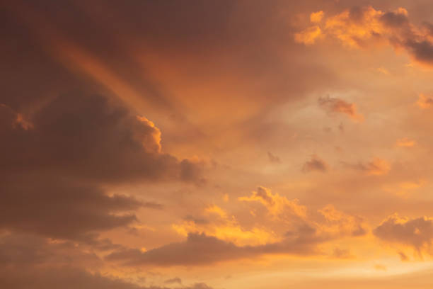 During the severe bushfire season in Australia