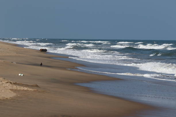 image de paysage de grande vague blanche d’eau sur la mer bleue et sable brun avec les fonds bleus clairs de ciel, paysage de plage - sandy brown photos photos et images de collection