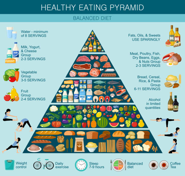 1,452 Food Pyramid Stock Photos, Pictures & Royalty-Free Images - iStock |  Food pyramid vector, Canned food pyramid, New food pyramid