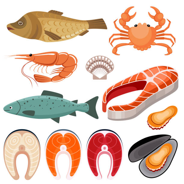 Illustration of fish, shrimp, mussels and crab on a white background. Seafood. Illustration of fish, shrimp, mussels and crab on a white background. Vector flat illustration shrimp prepared shrimp prawn cartoon stock illustrations