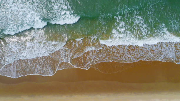 istock Beach on aerial drone top view with ocean waves reaching shore. 1204762223
