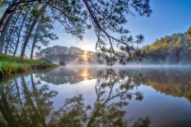 panaroma in fog lake fog lake in da lat, the sun and fog central highlands vietnam photos stock pictures, royalty-free photos & images