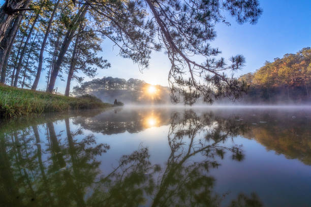 istock Sun and fog in golden valley 1204765370