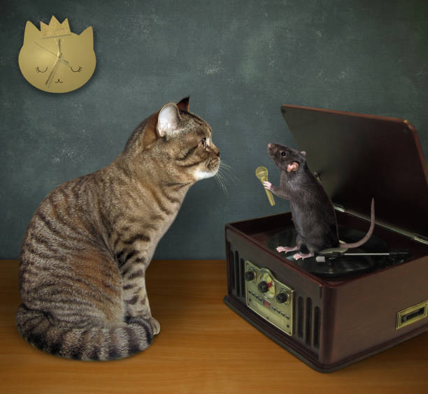 istock Cat with rat near record player 1204771514