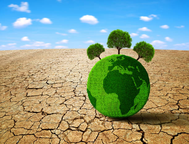 istock Planet with trees in the dry landscape with cracked soil. 1204773450