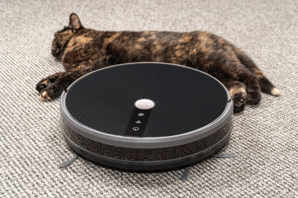 istock cat sleeps near a vacuum cleaner 1204773997