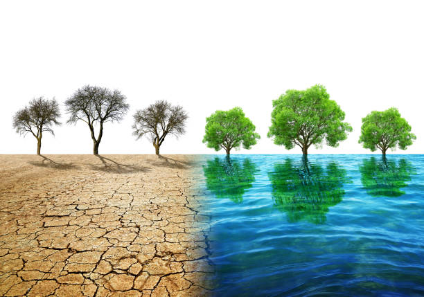 istock Dry country with cracked soil and water surface with trees. 1204775099