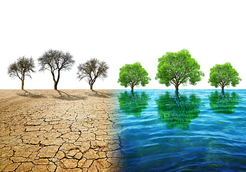 Dry country with cracked soil and water surface with trees. Concept of change climate or global warming.