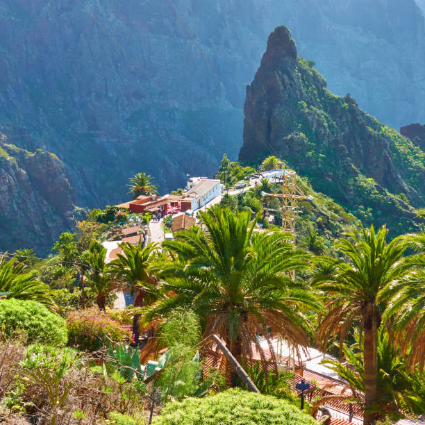 istock Mask in Tenerife 1204777082