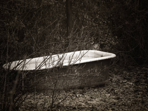 Hidden and abandoned old bathtub in the undergrowth