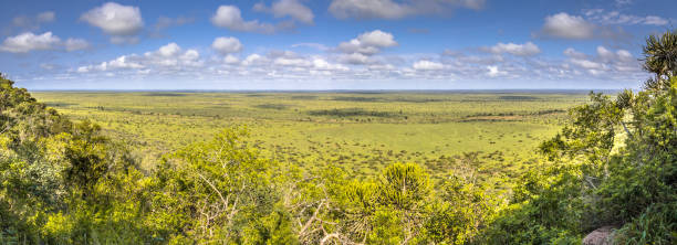 blick vom nkumbe-blick - kruger national park sunrise south africa africa stock-fotos und bilder