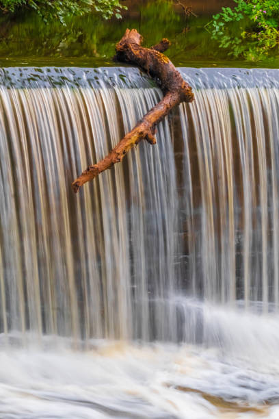 istock Waterfall over Weir, Tree Branch Poised To Go Over The Edge 1204781046