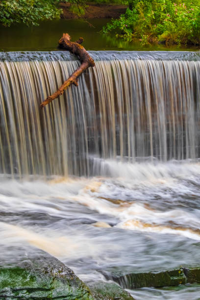 istock Waterfall over Weir, Tree Branch Poised To Go Over The Edge 1204781166