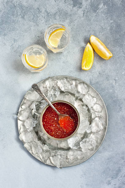 istock Vodka  with lemon and  red caviar on   gray  concrete background 1204781376
