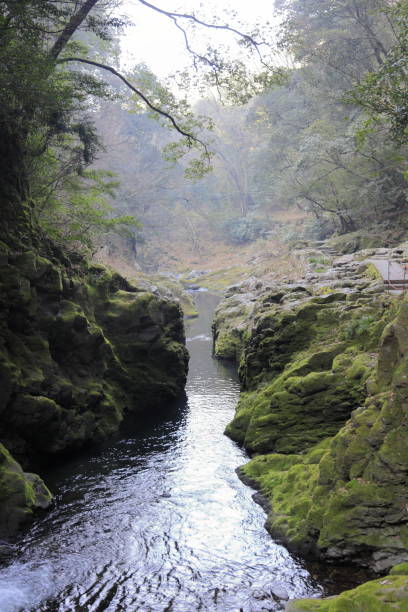 istock Iwato river in Takachiho, Miyazaki, Japan 1204782161