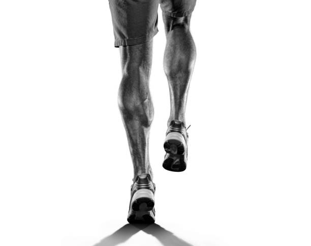 흰색에 고립 된 주자 다리의 실루엣 - muscular build sprinting jogging athlete 뉴스 사진 이미지