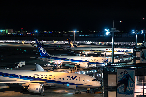 Feb 2020 - Tokyo, Japan: Air Nippon Airways (ANA) aircrafts docking at Haneda International Airport in Tokyo, Japan.