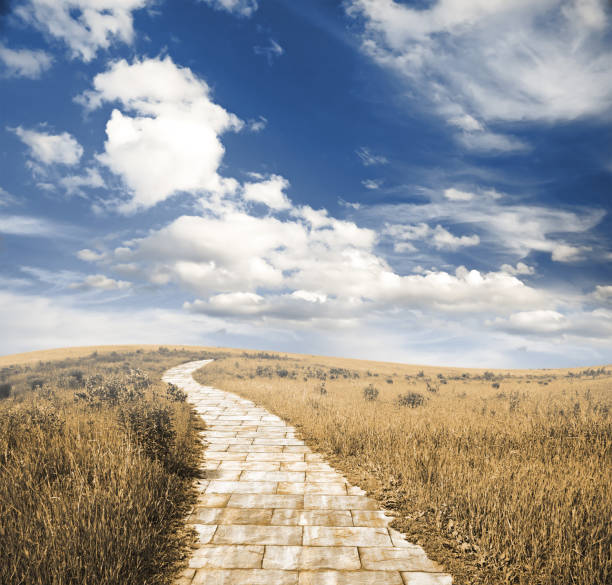yellow brick road through yellow meadows, fantasy background