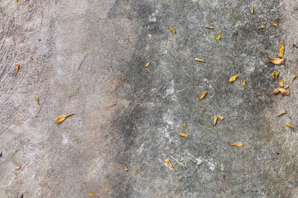 istock Cement floor with little dry leaves background. 1204790301