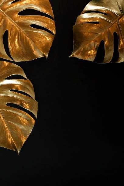 istock Gold leaves plant tropical monstera pattern frame on a black background. top view.abstract. 1204793275