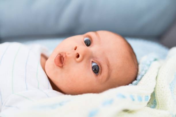 istock Adorable baby lying down on the sofa at home. Newborn relaxing and resting comfortable 1204795331