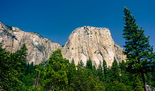El Capitan, Yosemite National Park, CA / USA