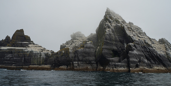 Little Skellig - World's second largest gannet colony