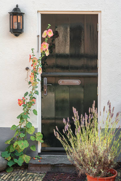 istock Green door in a white plastered wall with blossoming flowers in front 1204812889
