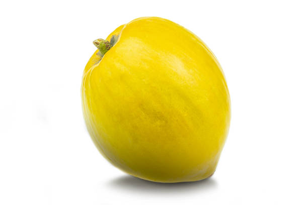 istock Egg fruit or canistel at white background, Scientific name pouteria campechiana 1204813328