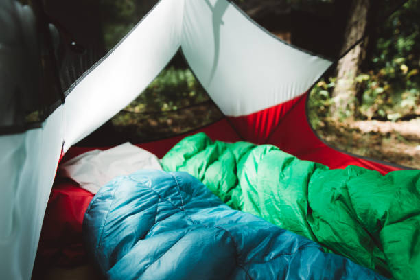 istock Couple sleeping in the tent in pine forest 1204816875
