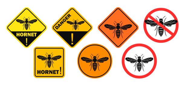 istock Hornet danger sign. Isolated hornet on white background. Wasp 1204819801