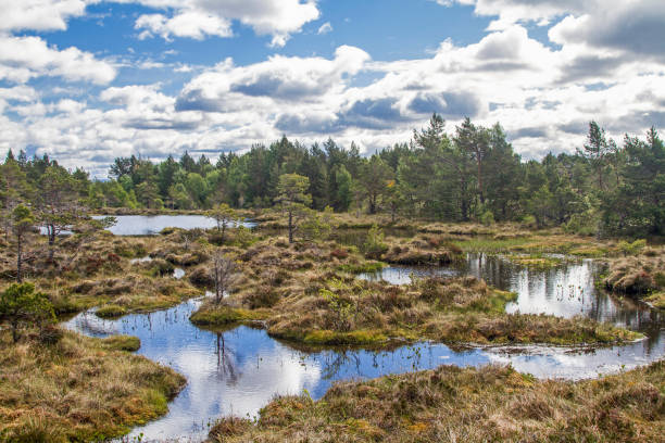 istock Norwegian Fjell landscape on Tustna 1204824494
