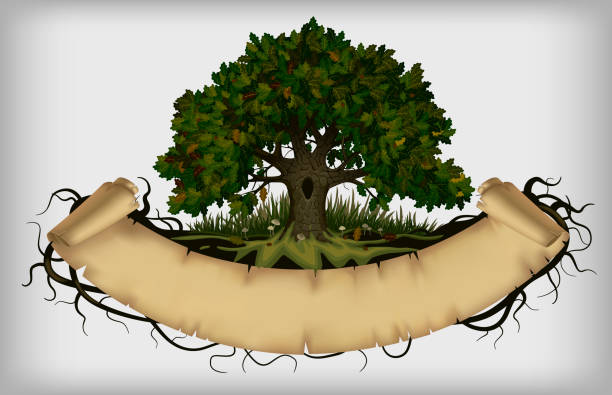 ilustrações de stock, clip art, desenhos animados e ícones de oak tree with roots and old parchment banner - fungus roots