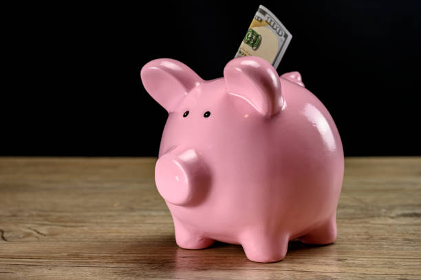 istock Dollar in the piggy bank bust close up 1204829749