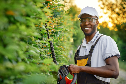 Happy african man wearing special clothing and protective glasses cutting bushes with petrol hedge trimmer. Cheerful male gardener in brown overall using gardening tools for plants