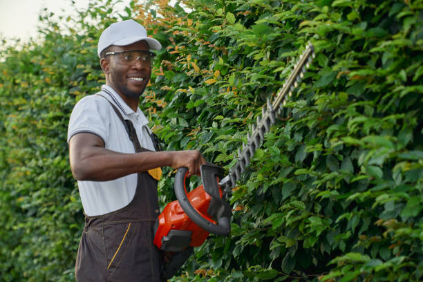 istock Cheerful african guy in uniform pruning green bushes 1204832672