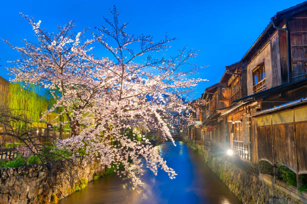 istock Kyoto, Japan in Spring 1204833811